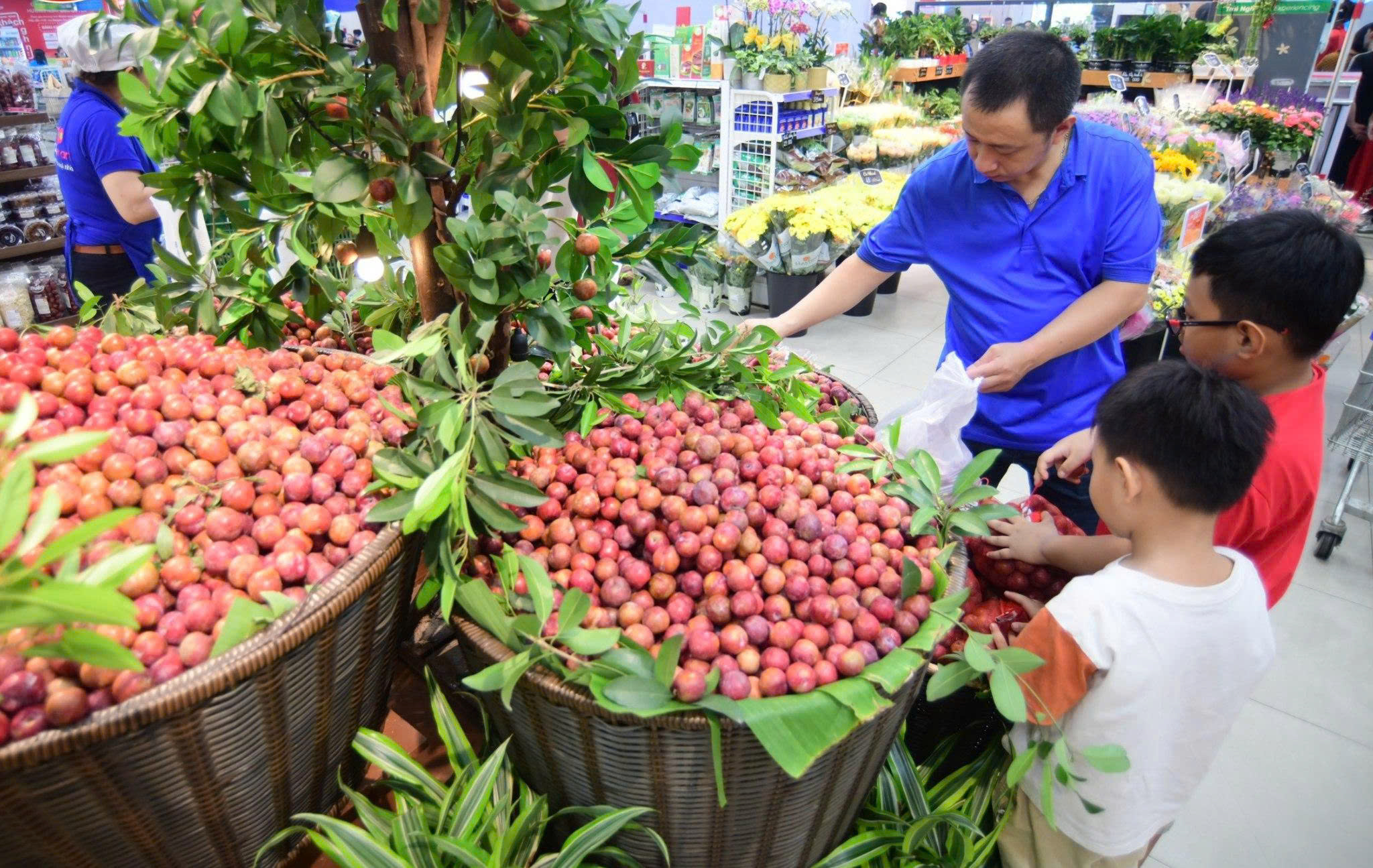 KHÁCH HÀNG ĐẾN CO.OPMART CHỌN MUA MẬN HẬU TƯƠI NGON CHẤT LƯỢNG